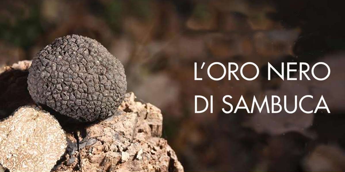 L'Oro nero di Sambuca di Sicilia